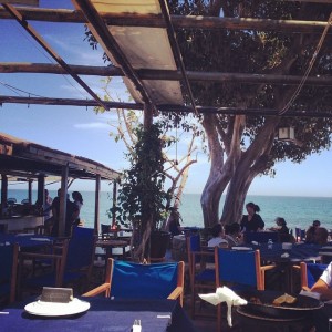 antonio medina de gracia